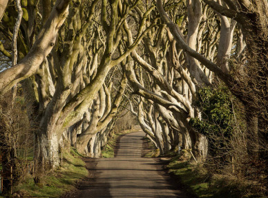 4-day-leisure-group-tour-game-of-thrones-experience-ireland-dmc-joe-oreilly-ireland-dmc-thumbnail